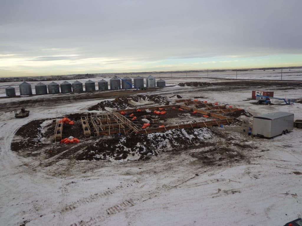 Galloway Seeds — building the plant