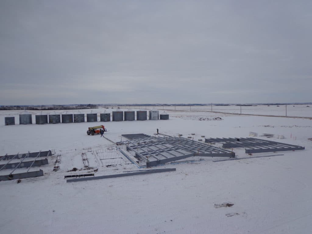 Galloway Seeds — building the plant