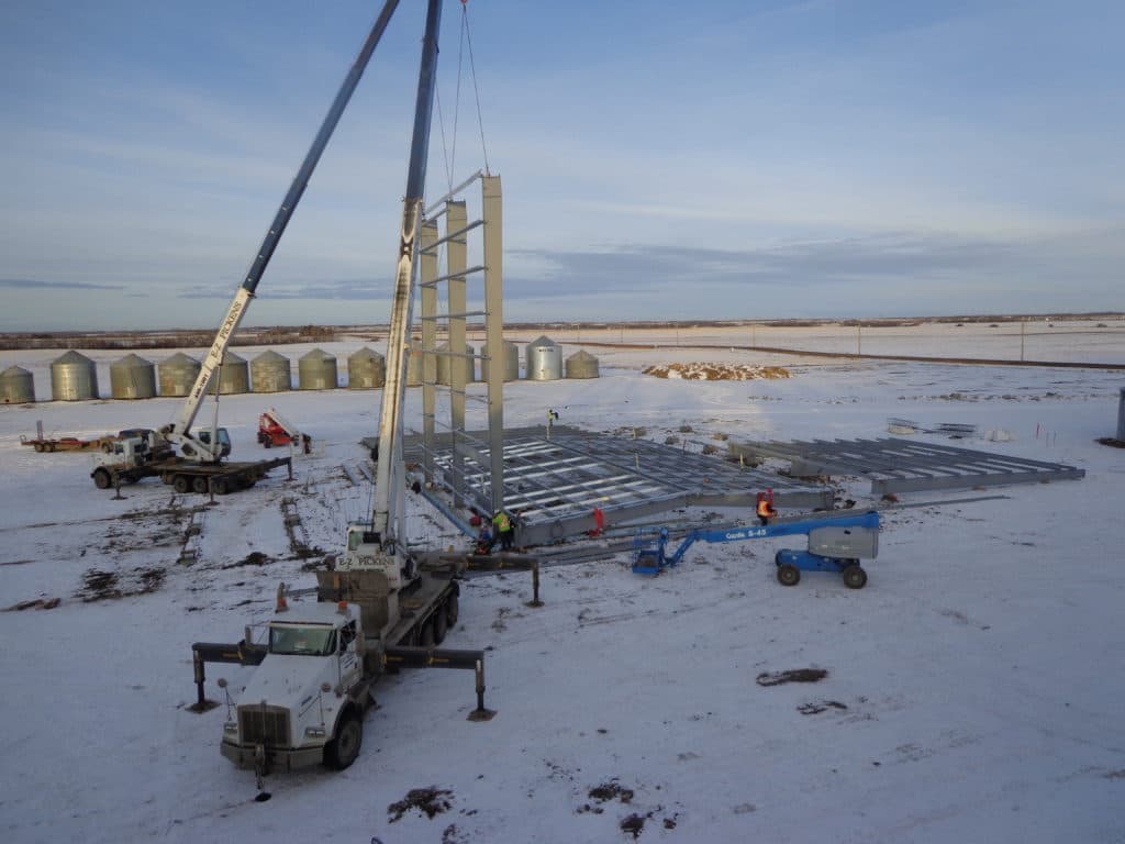 Galloway Seeds — building the plant