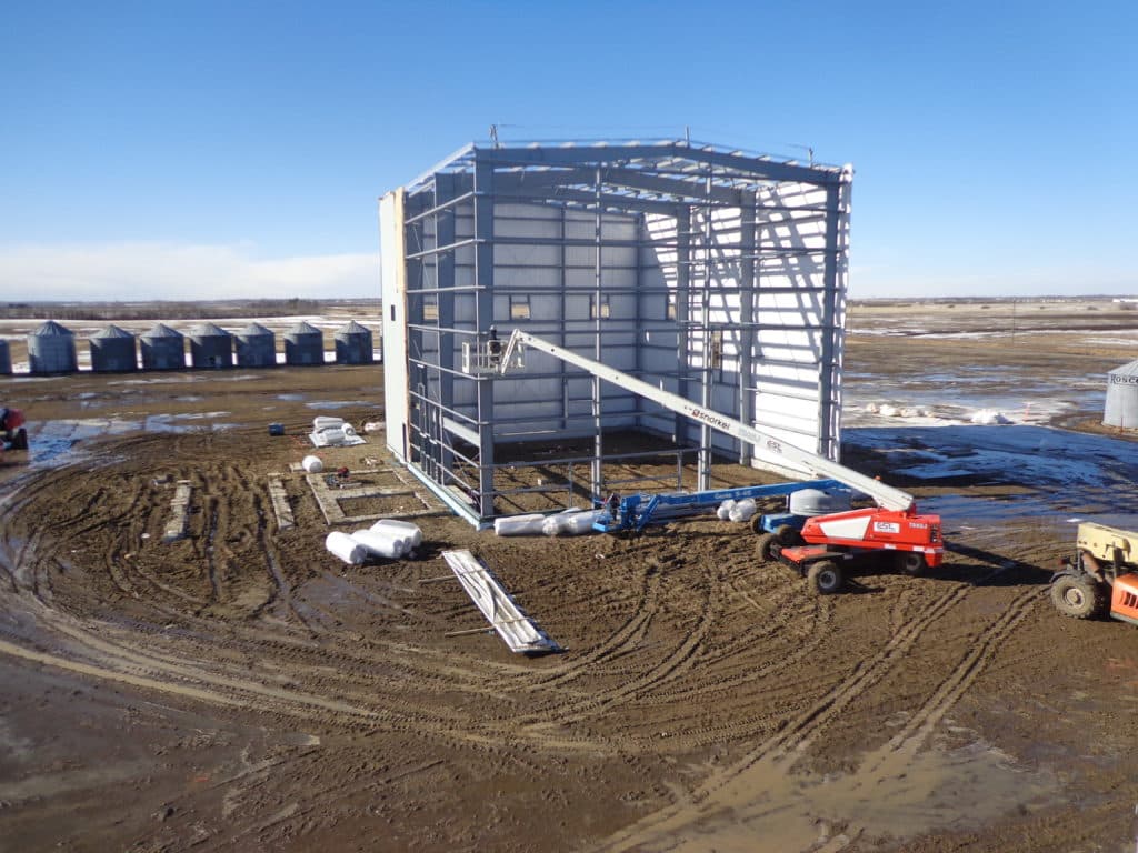 Galloway Seeds — building the plant