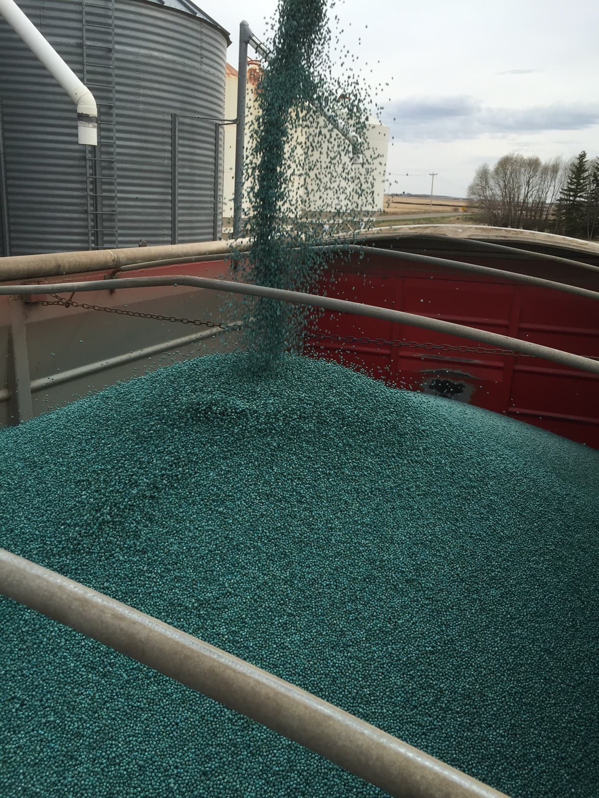 Galloway Seeds — seed treating