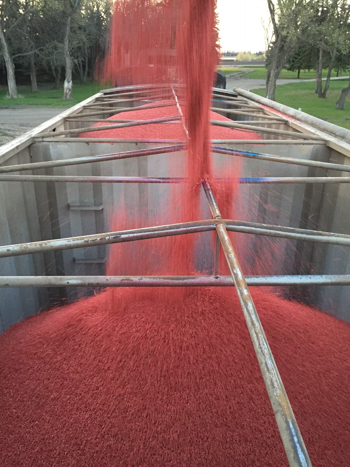 Galloway Seeds — seed treating