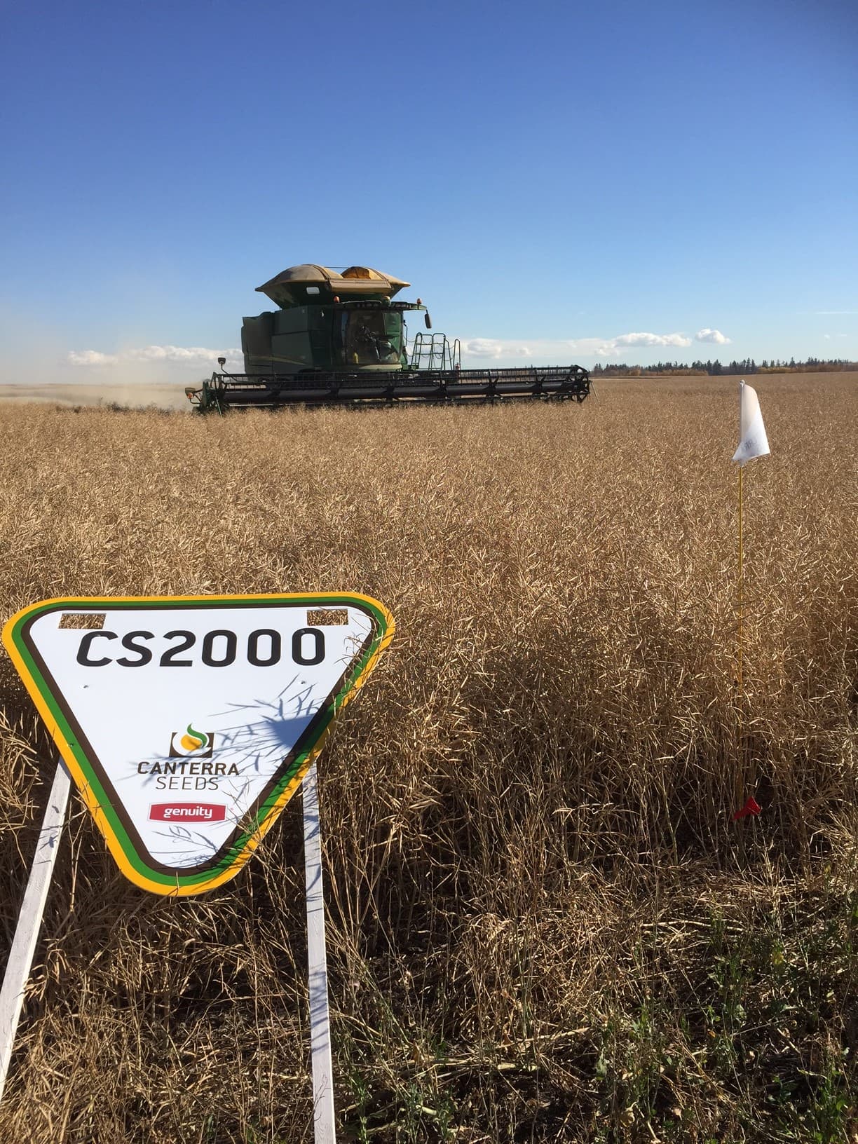 Galloway Seeds — field & harvest