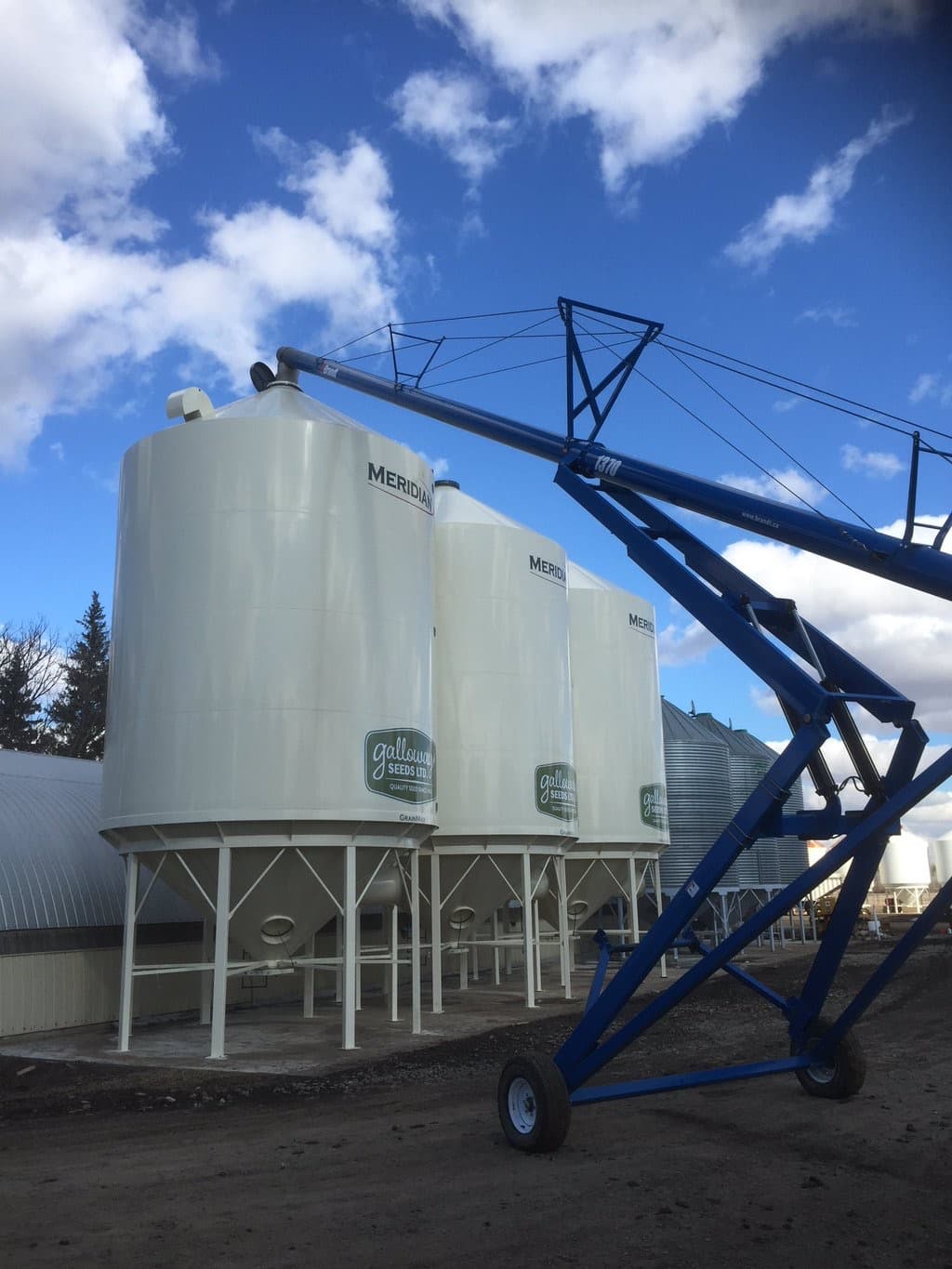 Galloway Seeds — seed treating