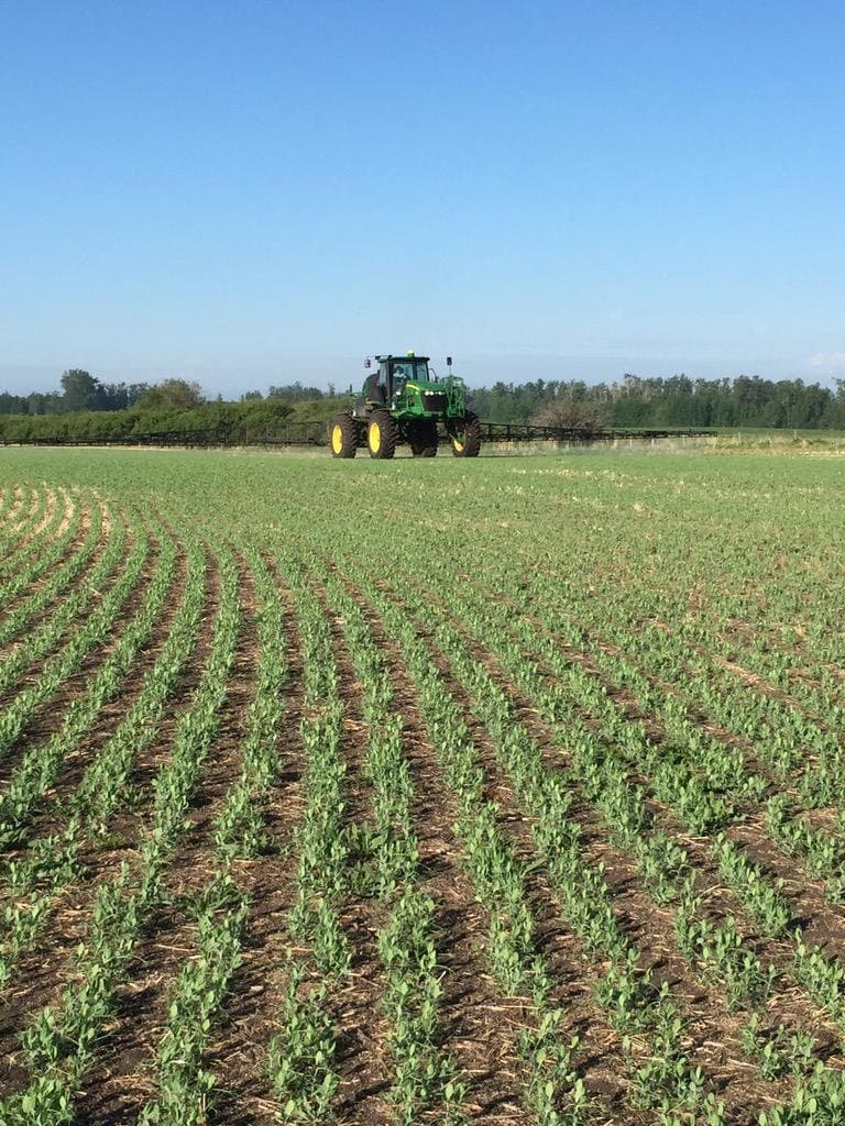 Galloway Seeds — field & harvest