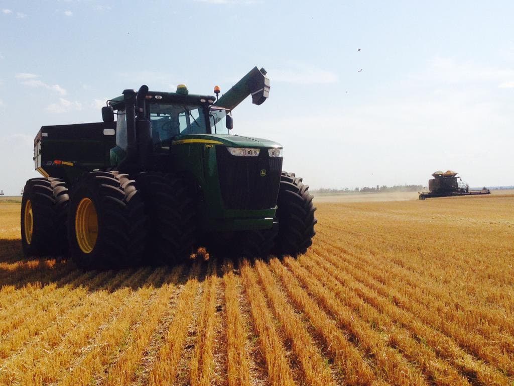 Galloway Seeds — field & harvest