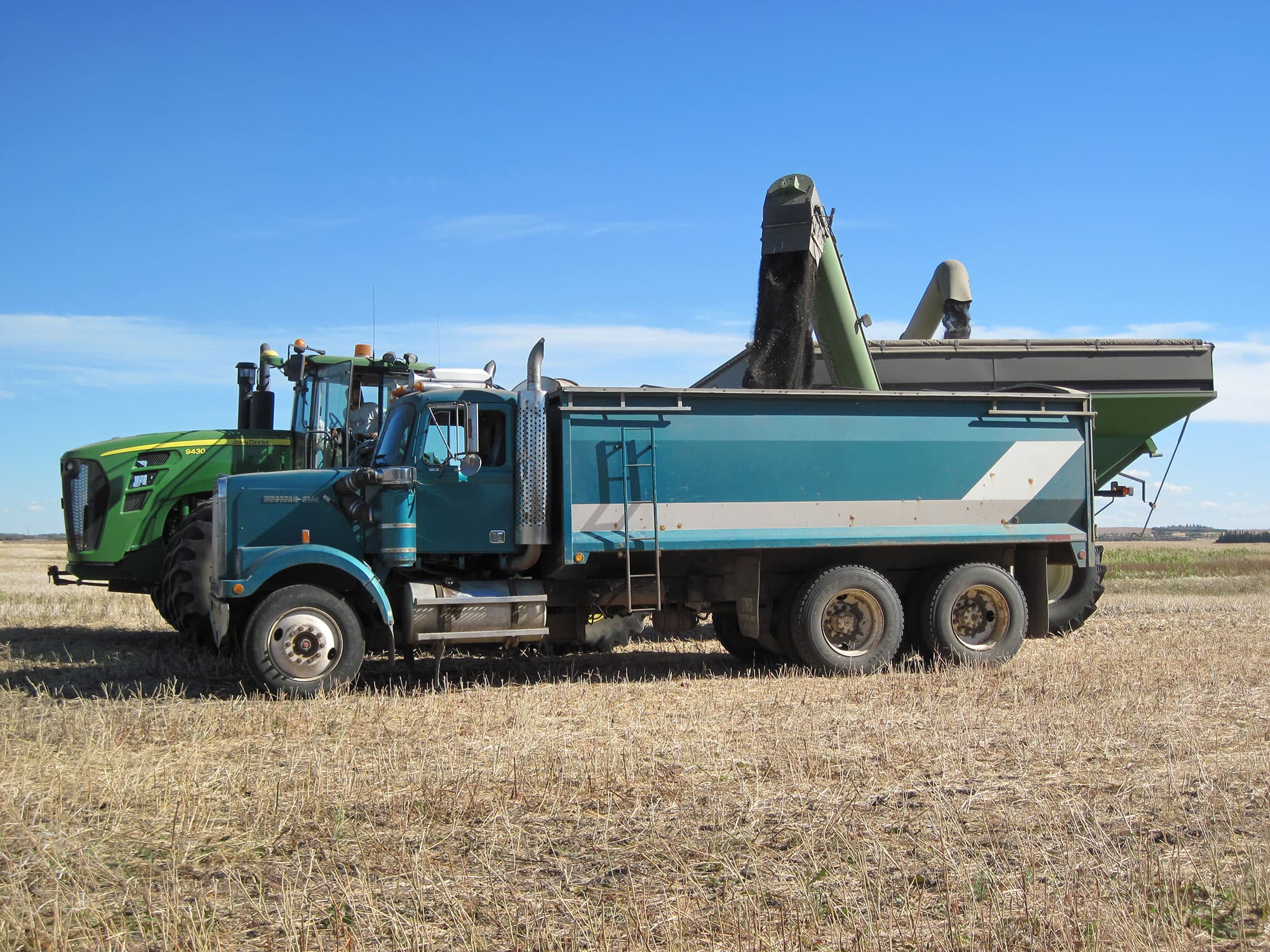 Galloway Seeds — field & harvest