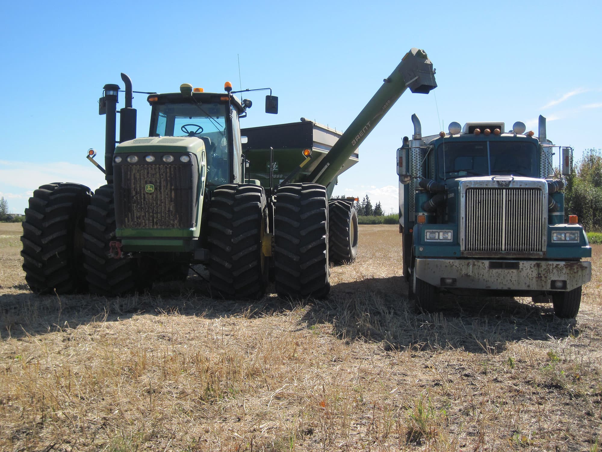 Galloway Seeds — field & harvest