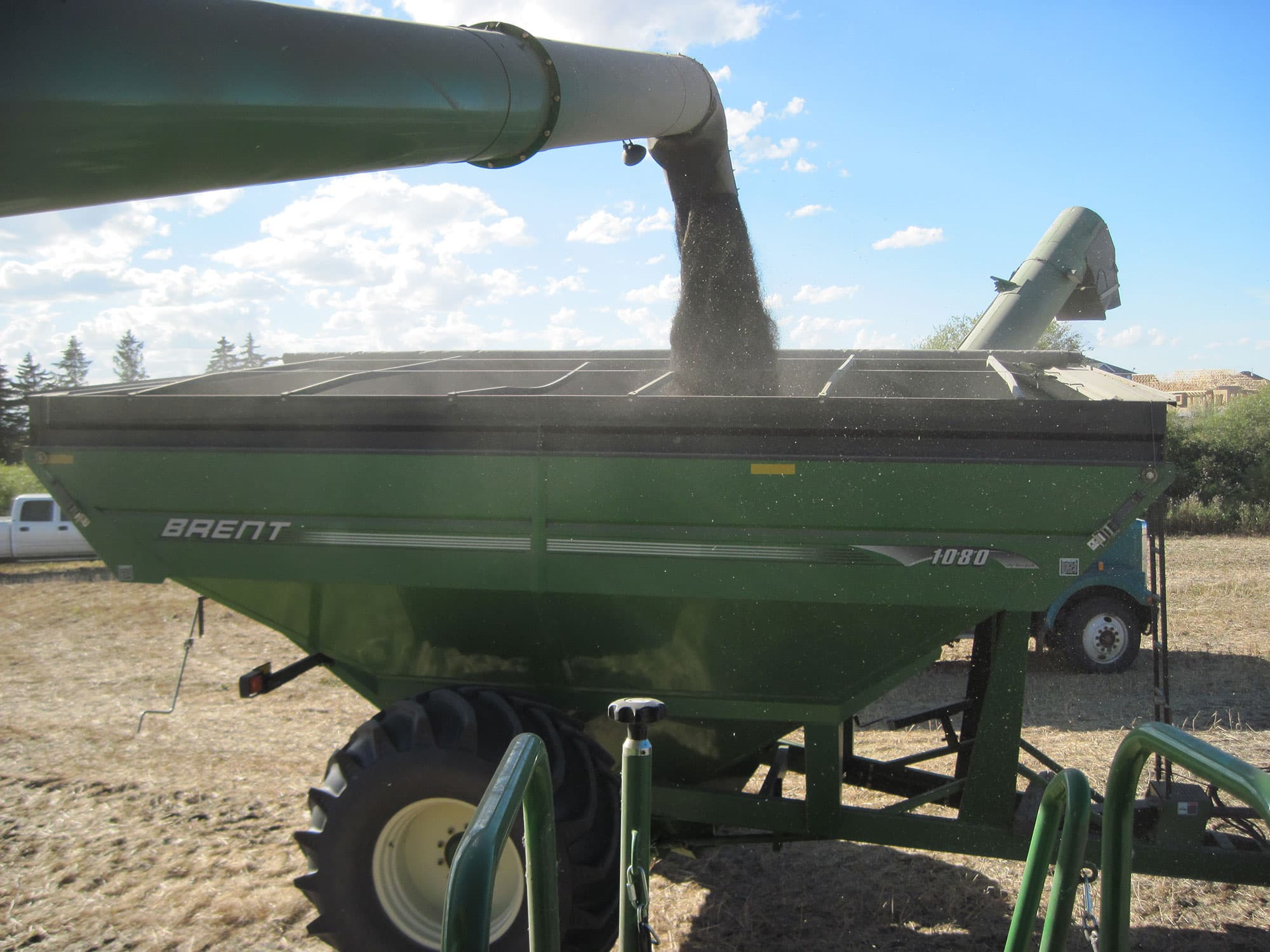 Galloway Seeds — field & harvest