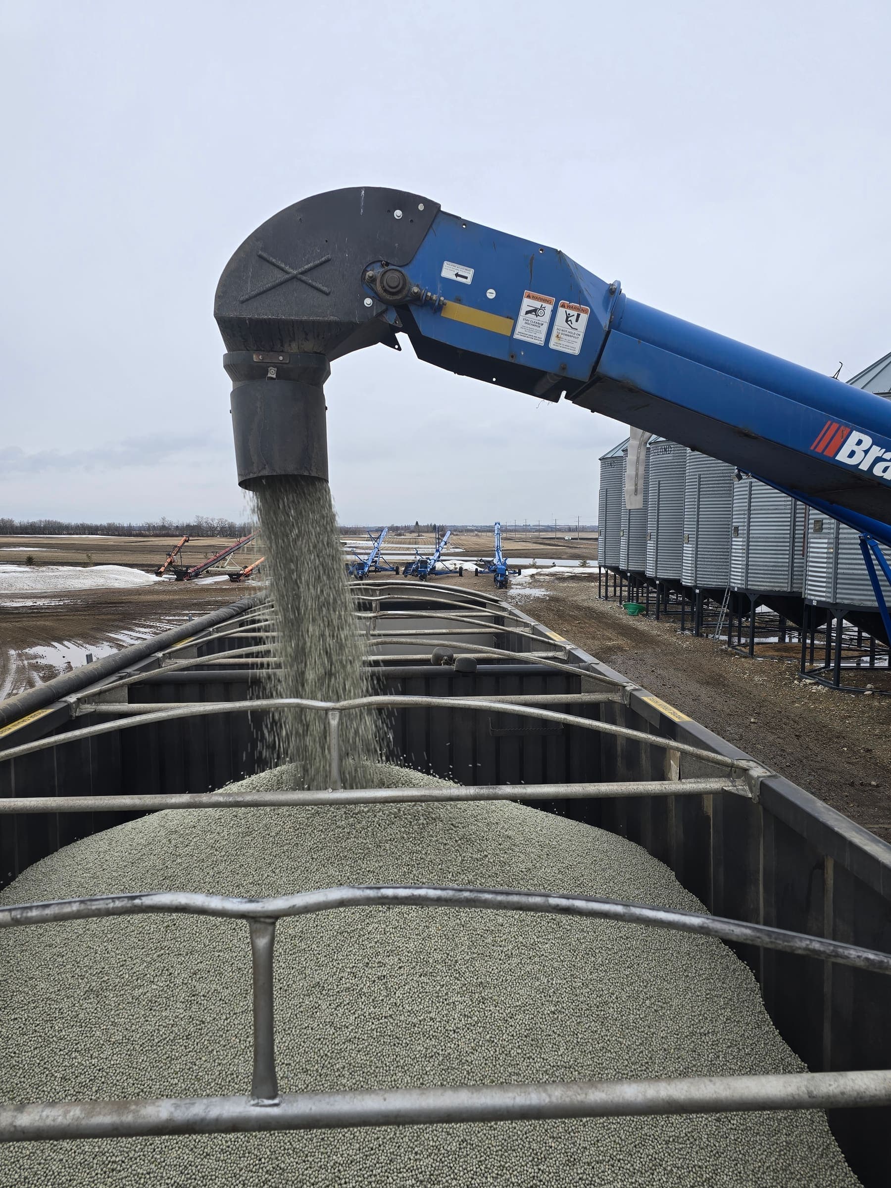 Galloway Seeds — seed treating