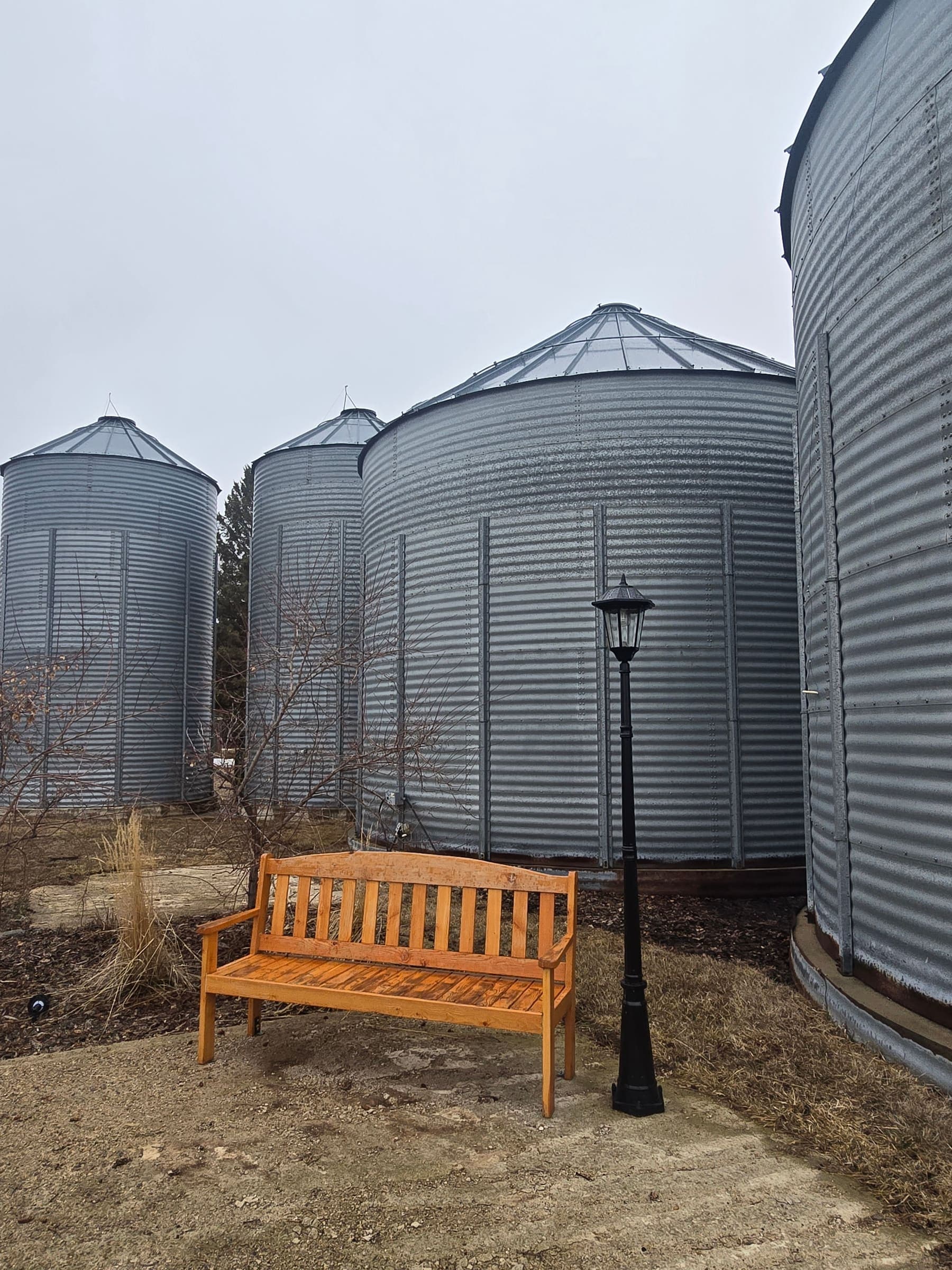 Galloway Seeds — the plant & yard