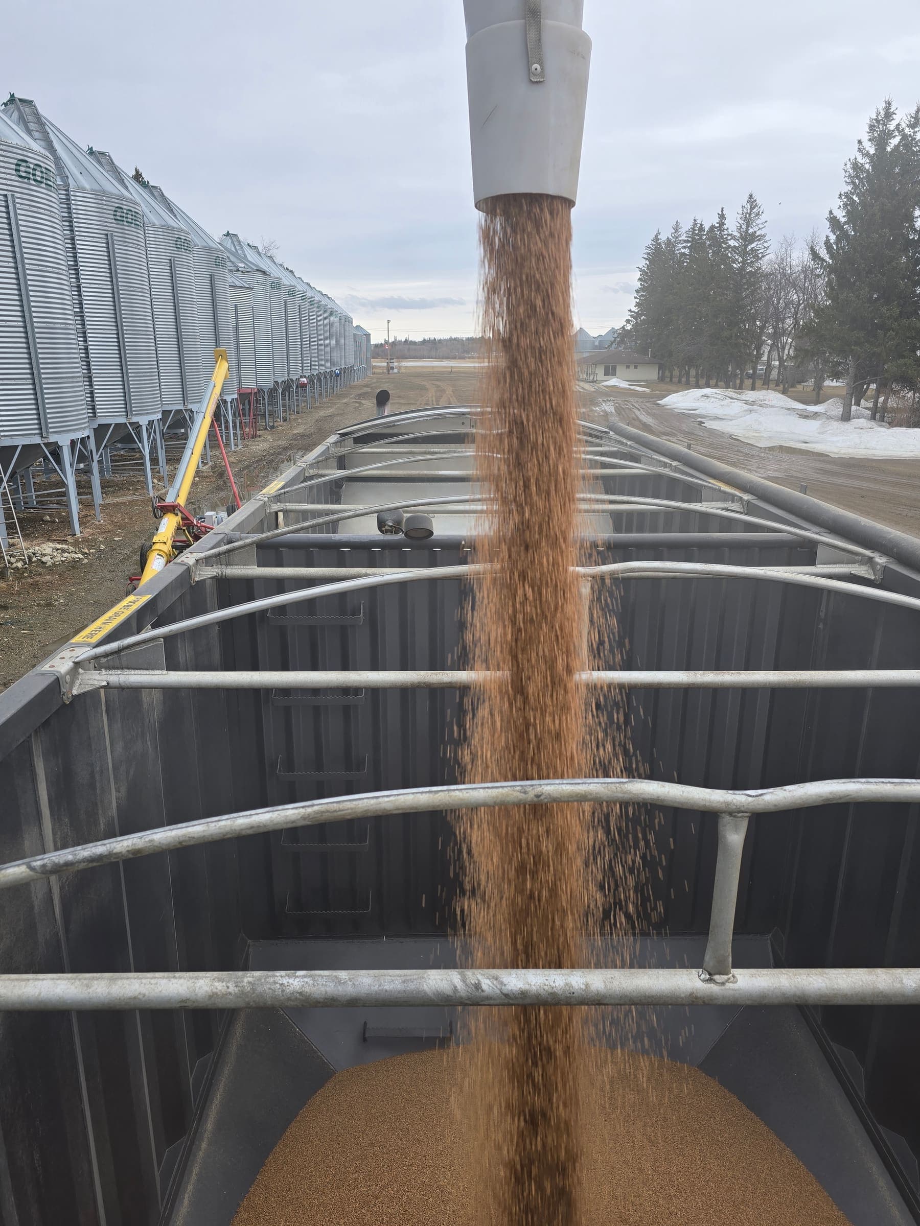 Galloway Seeds — seed treating