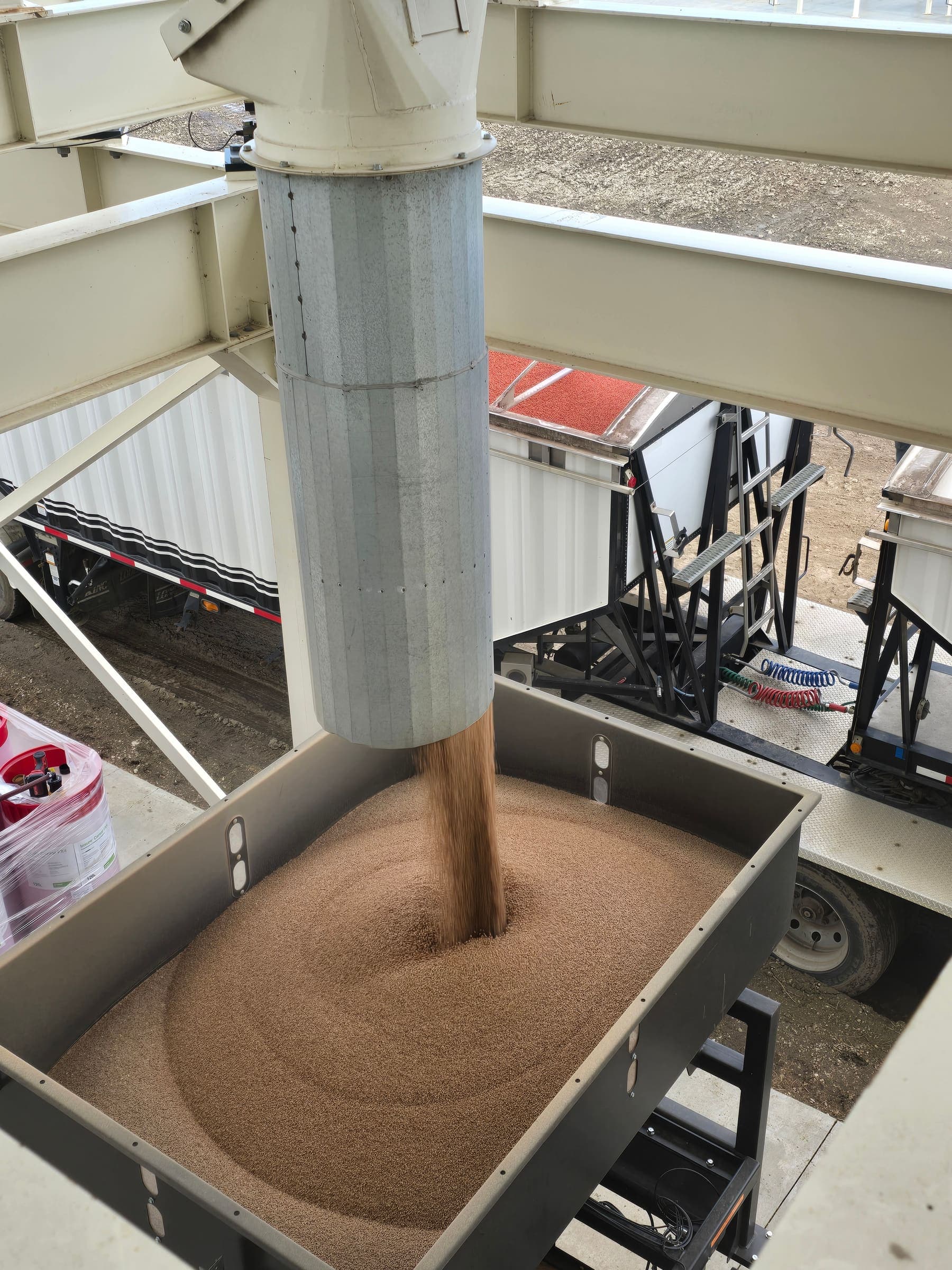 Galloway Seeds — seed treating