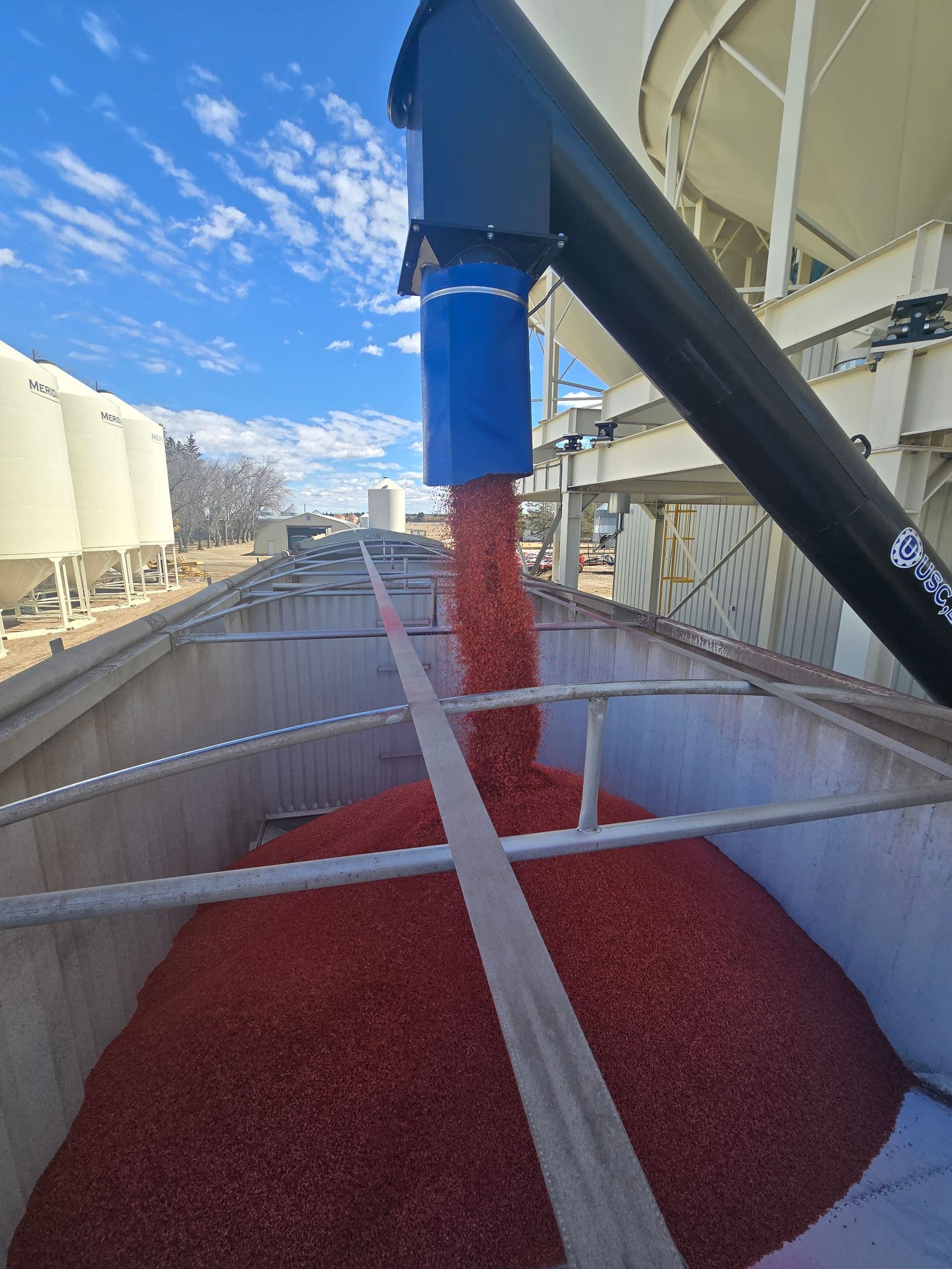 Galloway Seeds — seed treating