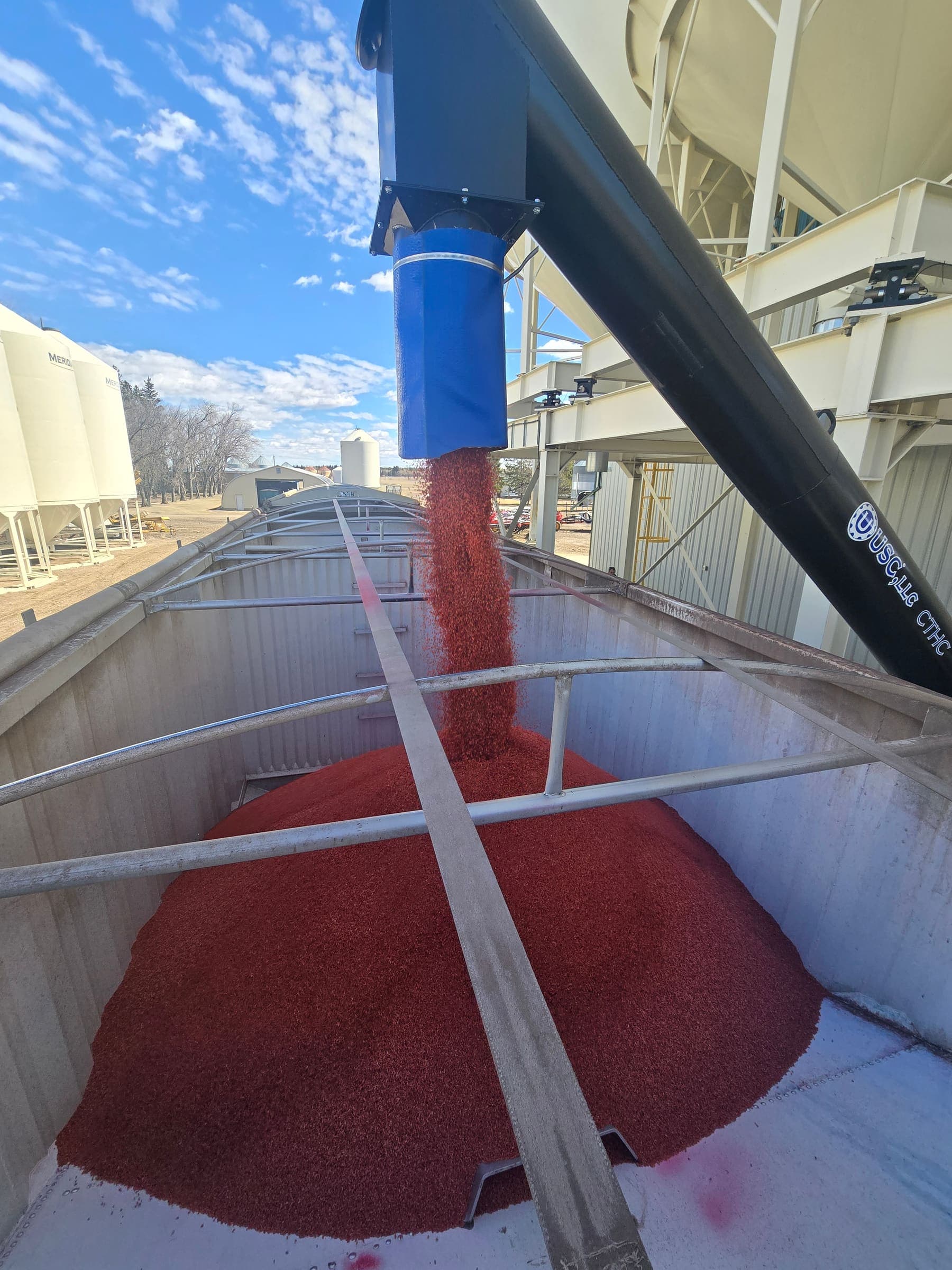Treated seed loading straight from the plant to the truck