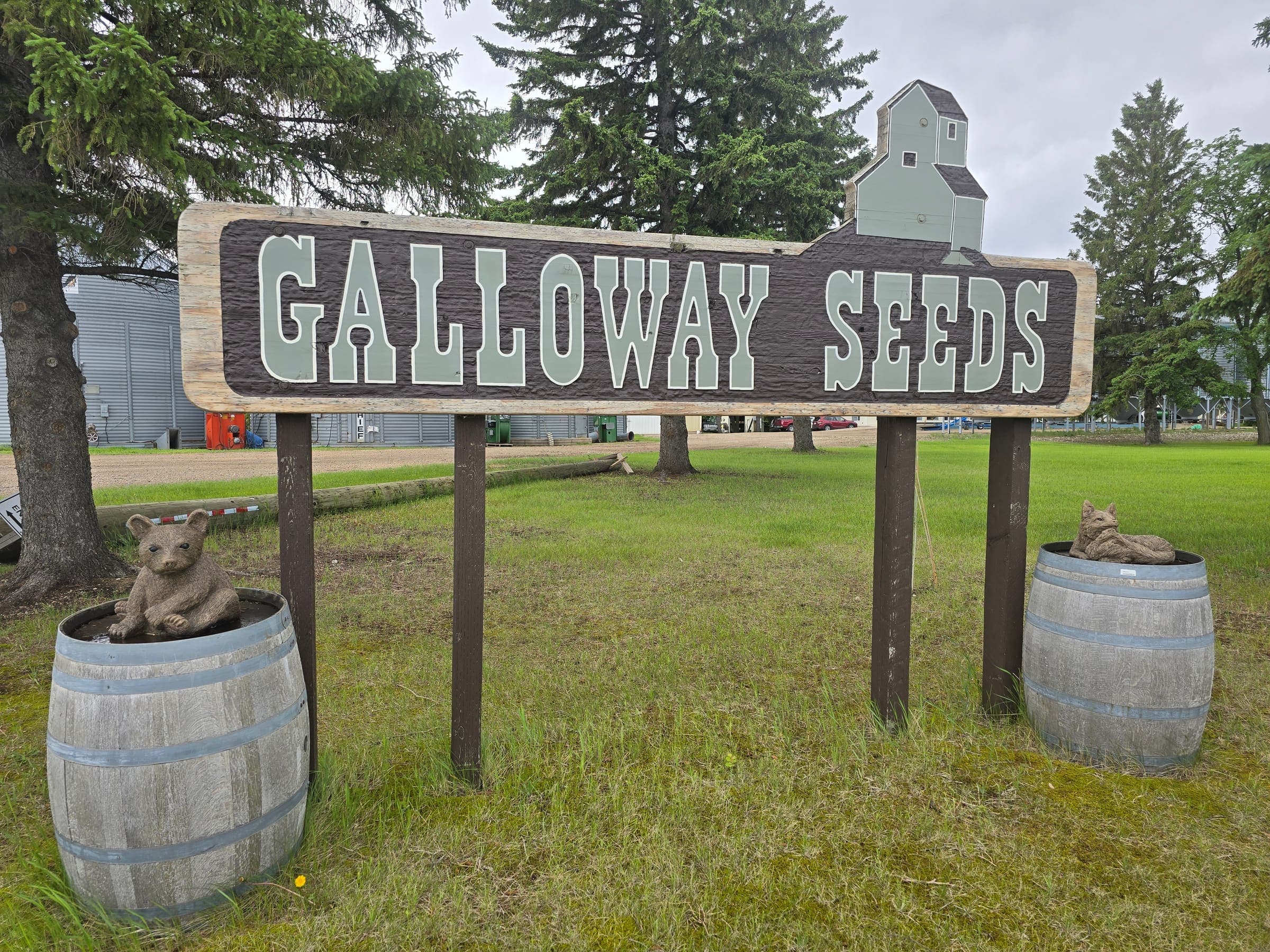 The hand-carved Galloway Seeds sign at the entrance to the yard