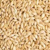 AAC Synergy seed sample