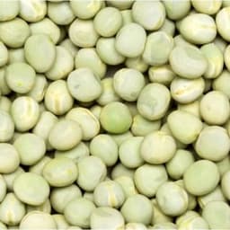 CDC Huskie seed sample